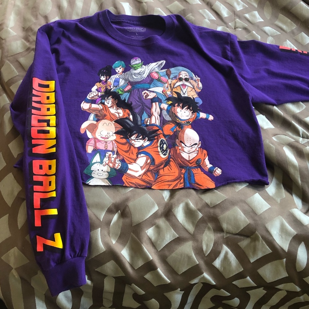 Graphic Crop Long Sleeve Tee